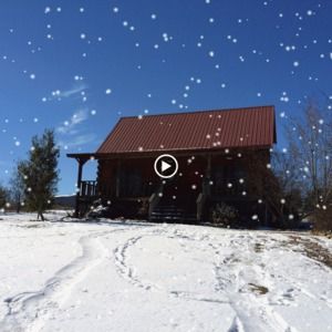 Meet your Posher, Sally